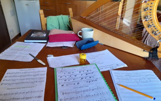 Diatonic harp – Right way or wrong way to play the right hand?